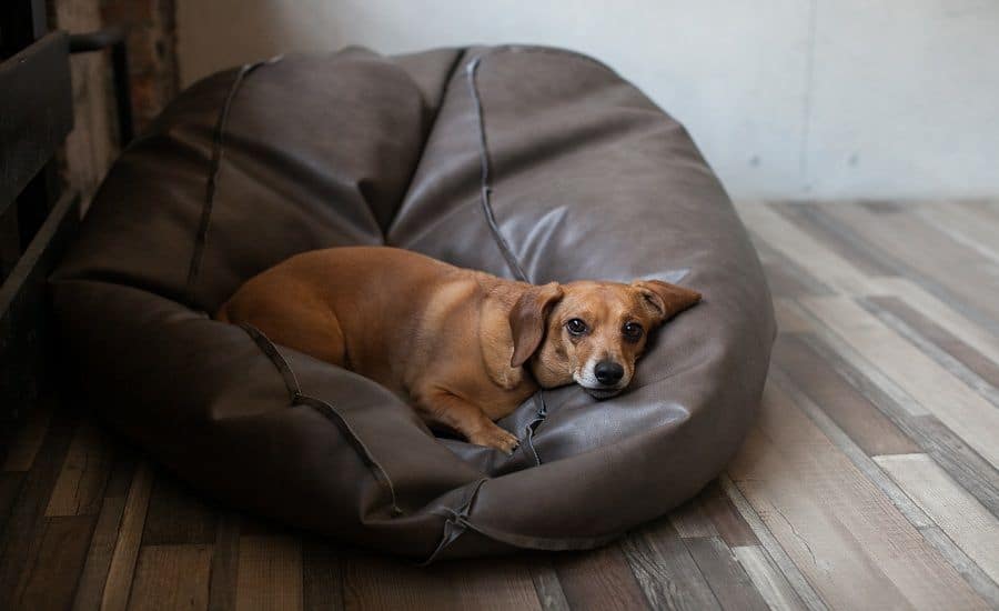 comfy bean bag chair