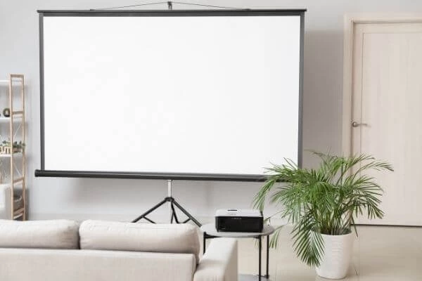 Room Divider Projection Screen