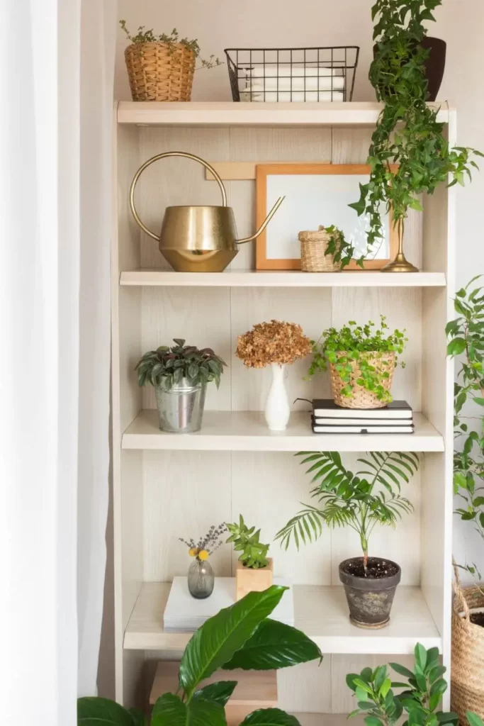 Entryway Shelf Organizer