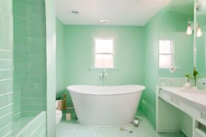 Mint Green color Bathroom