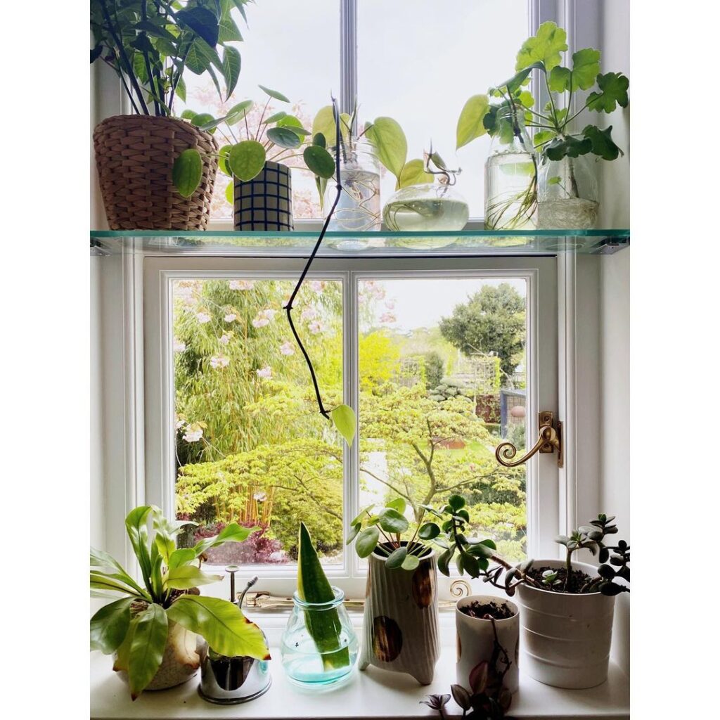 Compact Spice Rack for a Handy Herb Display