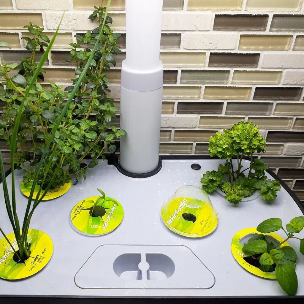 Hydroponic Herb Gardens