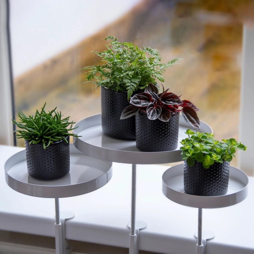 Mini Windowsill Shelf Garden