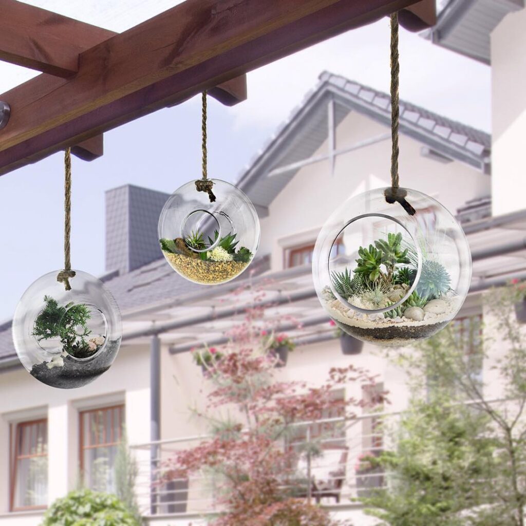 Hanging Glass Globes