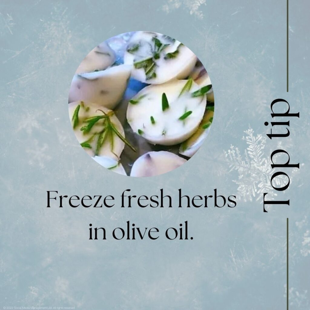 Freeze Fresh Herbs in Olive Oil for Quick Flavor Boosts